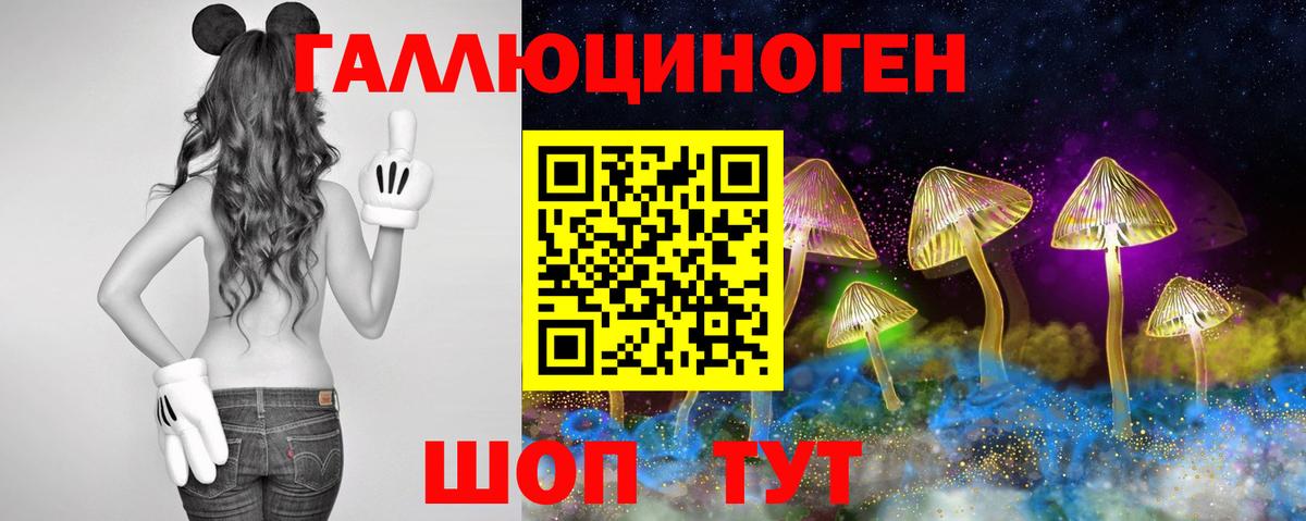 Дзержинский  Галлюциногенные грибы прущие грибы  Вход с VPN 